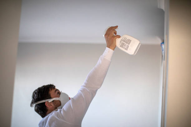 Best Black Mold Removal  in Toulon, IL