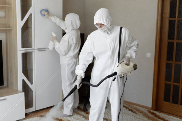 Trusted Toulon, IL Mold Removal Experts